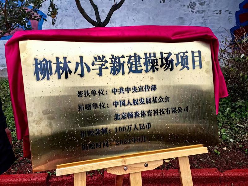 朱鹮村落的104个娃娃有了“爱心操场”