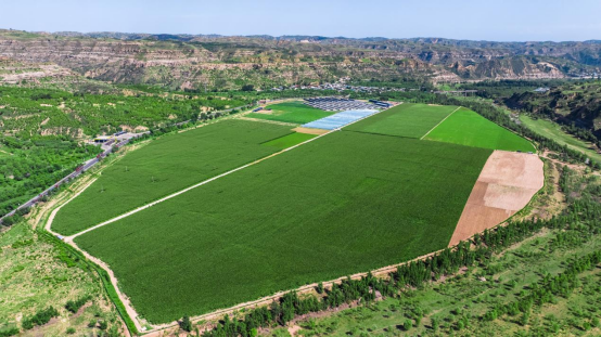 龙华集团：工业反哺农业 书写乡村振兴新篇章